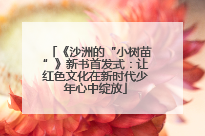 《沙洲的“小树苗”》新书首发式：让红色文化在新时代少年心中绽放