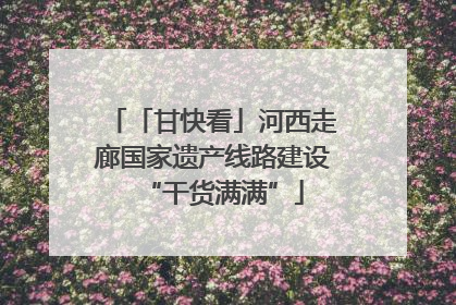 「甘快看」河西走廊国家遗产线路建设“干货满满”