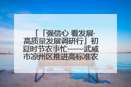「强信心 看发展·高质量发展调研行」初夏时节农事忙——武威市凉州区推进高标准农田建设见闻
