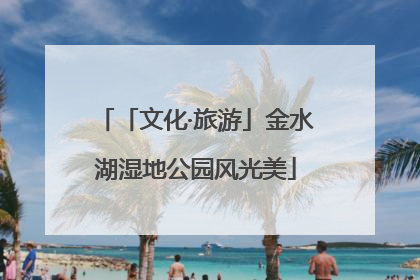 「文化·旅游」金水湖湿地公园风光美