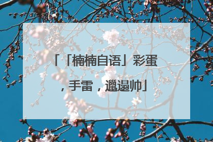 「楠楠自语」彩蛋，手雷，邋遢帅