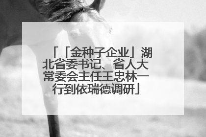 「金种子企业」湖北省委书记、省人大常委会主任王忠林一行到依瑞德调研