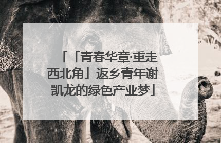 「青春华章·重走西北角」返乡青年谢凯龙的绿色产业梦