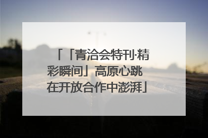 「青洽会特刊·精彩瞬间」高原心跳 在开放合作中澎湃