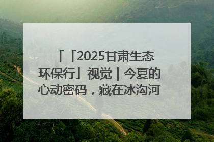 「2025甘肃生态环保行」视觉｜今夏的心动密码，藏在冰沟河的潋滟波光里
