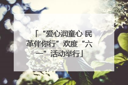 “爱心润童心 民革伴你行”欢度“六一”活动举行