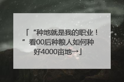 “种地就是我的职业！”看00后种粮人如何种好4000亩地→