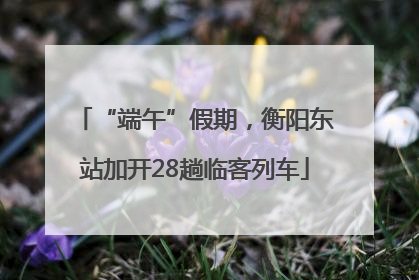 “端午”假期，衡阳东站加开28趟临客列车