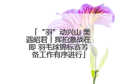 “羽”动兴山 美遇昭君丨挥拍激战在即 羽毛球锦标赛筹备工作有序进行