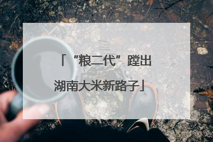 “粮二代”蹚出湖南大米新路子