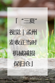 “三夏”视觉｜孟州麦收正当时 机械减损保归仓