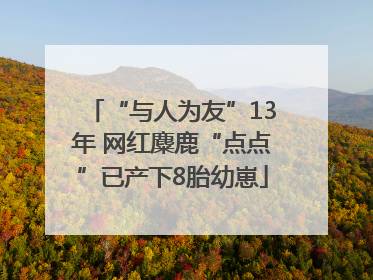 “与人为友”13年 网红麋鹿“点点”已产下8胎幼崽