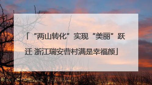 “两山转化”实现“美丽”跃迁 浙江瑞安曹村满是幸福颜