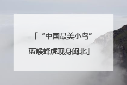 “中国最美小鸟”蓝喉蜂虎现身闽北