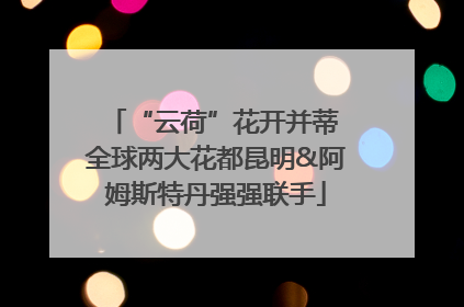 “云荷”花开并蒂 全球两大花都昆明&阿姆斯特丹强强联手