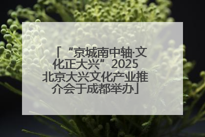 “京城南中轴·文化正大兴”2025北京大兴文化产业推介会于成都举办