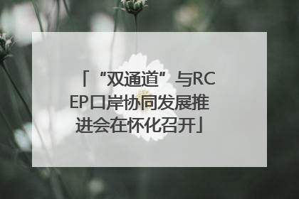 “双通道”与RCEP口岸协同发展推进会在怀化召开