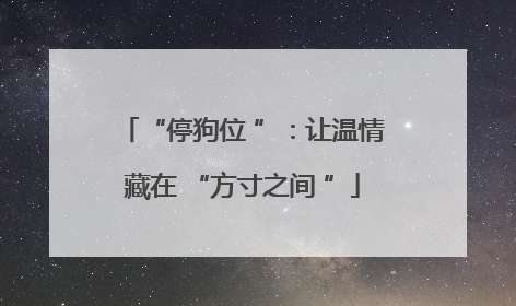 “停狗位 ”：让温情藏在 “方寸之间 ”