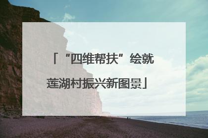 “四维帮扶”绘就莲湖村振兴新图景