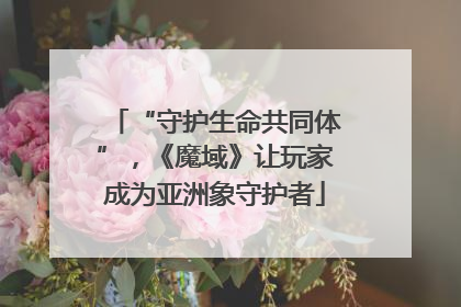 “守护生命共同体”，《魔域》让玩家成为亚洲象守护者