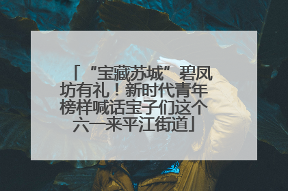 “宝藏苏城”碧凤坊有礼！新时代青年榜样喊话宝子们这个六一来平江街道