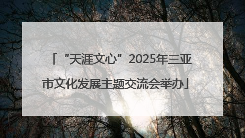 “天涯文心”2025年三亚市文化发展主题交流会举办