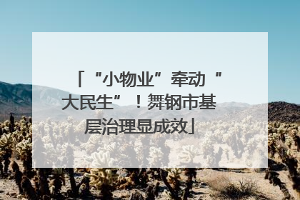 “小物业”牵动“大民生”！舞钢市基层治理显成效