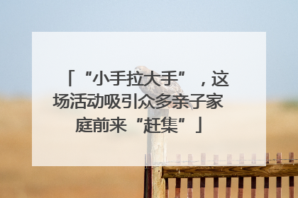 “小手拉大手”，这场活动吸引众多亲子家庭前来“赶集”