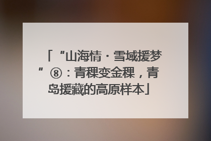 “山海情・雪域援梦”⑧：青稞变金稞，青岛援藏的高原样本