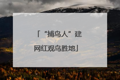 “捕鸟人”建网红观鸟胜地