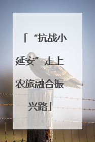 “抗战小延安”走上农旅融合振兴路