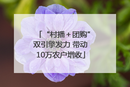 “村播＋团购”双引擎发力 带动10万农户增收