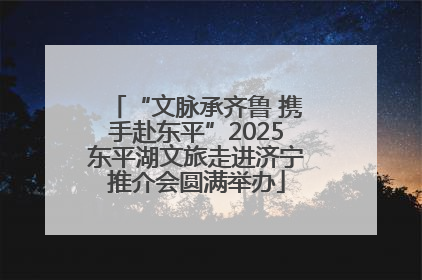 “文脉承齐鲁 携手赴东平”2025东平湖文旅走进济宁推介会圆满举办