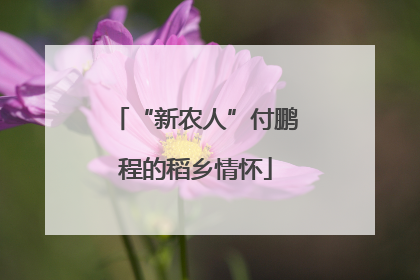 “新农人”付鹏程的稻乡情怀