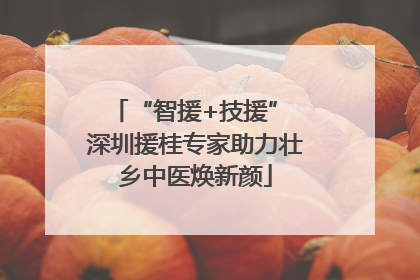 “智援+技援” 深圳援桂专家助力壮乡中医焕新颜