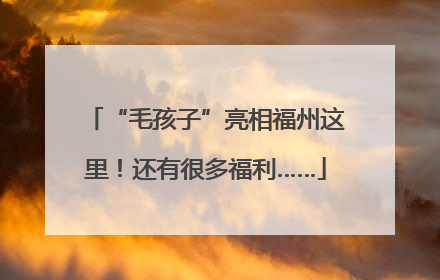 “毛孩子”亮相福州这里！还有很多福利……