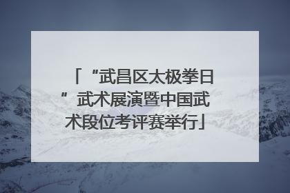 “武昌区太极拳日”武术展演暨中国武术段位考评赛举行
