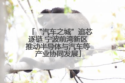 “汽车之城”追芯逐链 宁波前湾新区推动半导体与汽车等产业协同发展