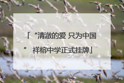 “清澈的爱 只为中国” 祥榕中学正式挂牌