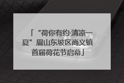 “荷你有约·清凉一夏”眉山东坡区尚义镇首届荷花节启幕