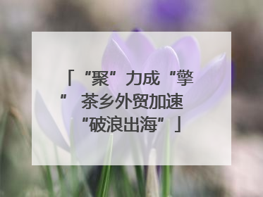 “聚”力成“擎” 茶乡外贸加速“破浪出海”