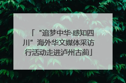 “追梦中华·感知四川”海外华文媒体采访行活动走进泸州古蔺