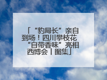 “豹局长”亲自到场！四川攀枝花“自带香味”亮相西博会丨图集