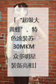 “超级大黄蜂”、特色涂装苏-30MKM 众多明星装备亮相
