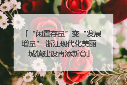 “闲置存量”变“发展增量” 浙江现代化美丽城镇建设再添新意