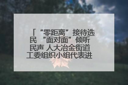 “零距离”接待选民 “面对面”倾听民声 人大冶金街道工委组织小组代表进社区接待选民