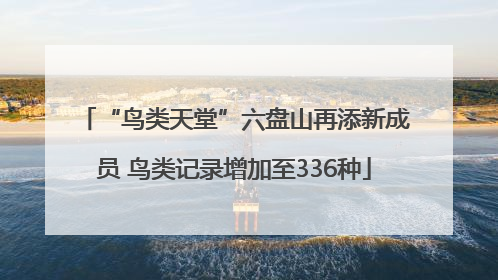 “鸟类天堂”六盘山再添新成员 鸟类记录增加至336种