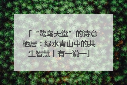 “鹭鸟天堂”的诗意栖居：绿水青山中的共生智慧丨有一说一