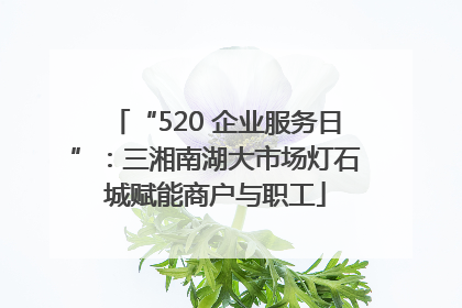 “520 企业服务日”：三湘南湖大市场灯石城赋能商户与职工