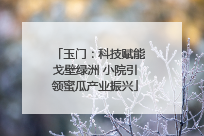 玉门：科技赋能戈壁绿洲 小院引领蜜瓜产业振兴